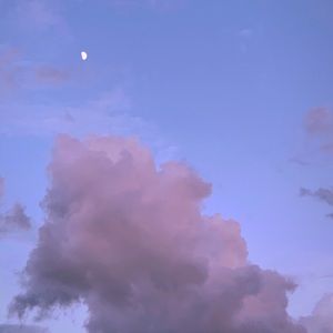 Meet your Posher, Ella